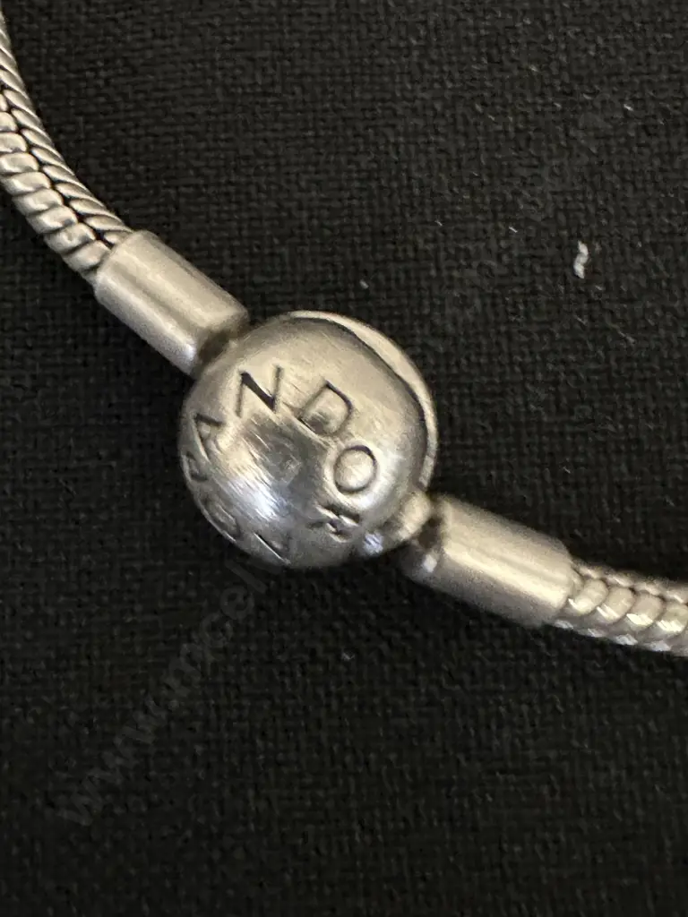 Pandora Bracelet Image 1++