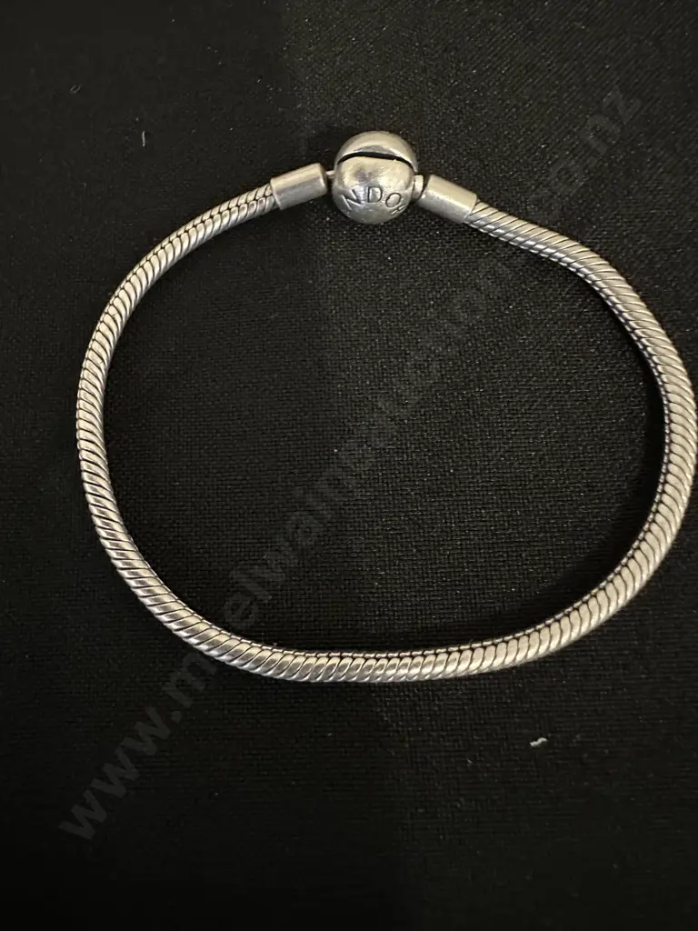 Pandora Bracelet Image 1++