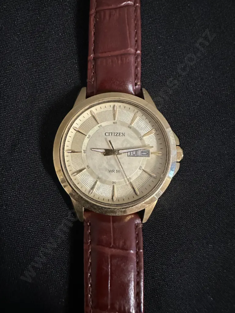 Citizen Day/Date Brown Strap Mens Watch Image 1++