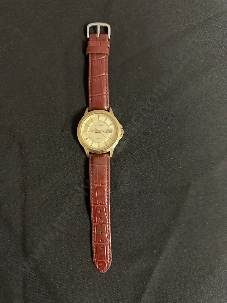 Citizen Day/Date Brown Strap Mens Watch Image 1++