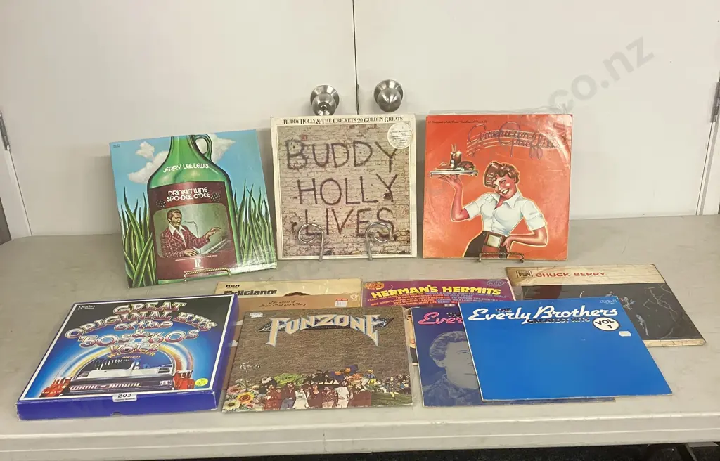 LPs x 10 - Buddy Holly Lives, Everly Bros, Chuck Berry, American Graffiti, Etc Plus Hits Of The 50s & 60s Vol II Boxset Image 1++