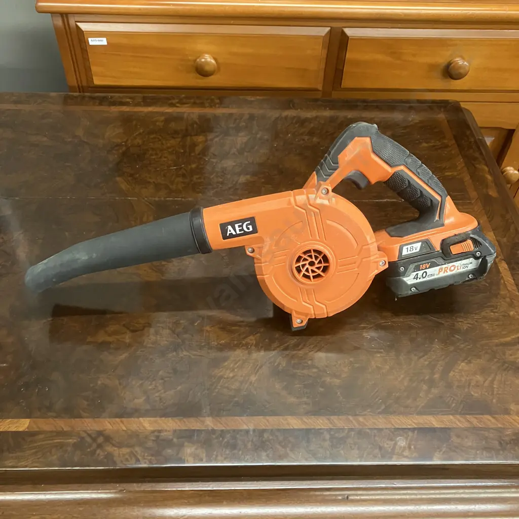 AEG GM18EX2 18V Cordless Blower With 4.0Ah Battery (No Charger) Image 1++