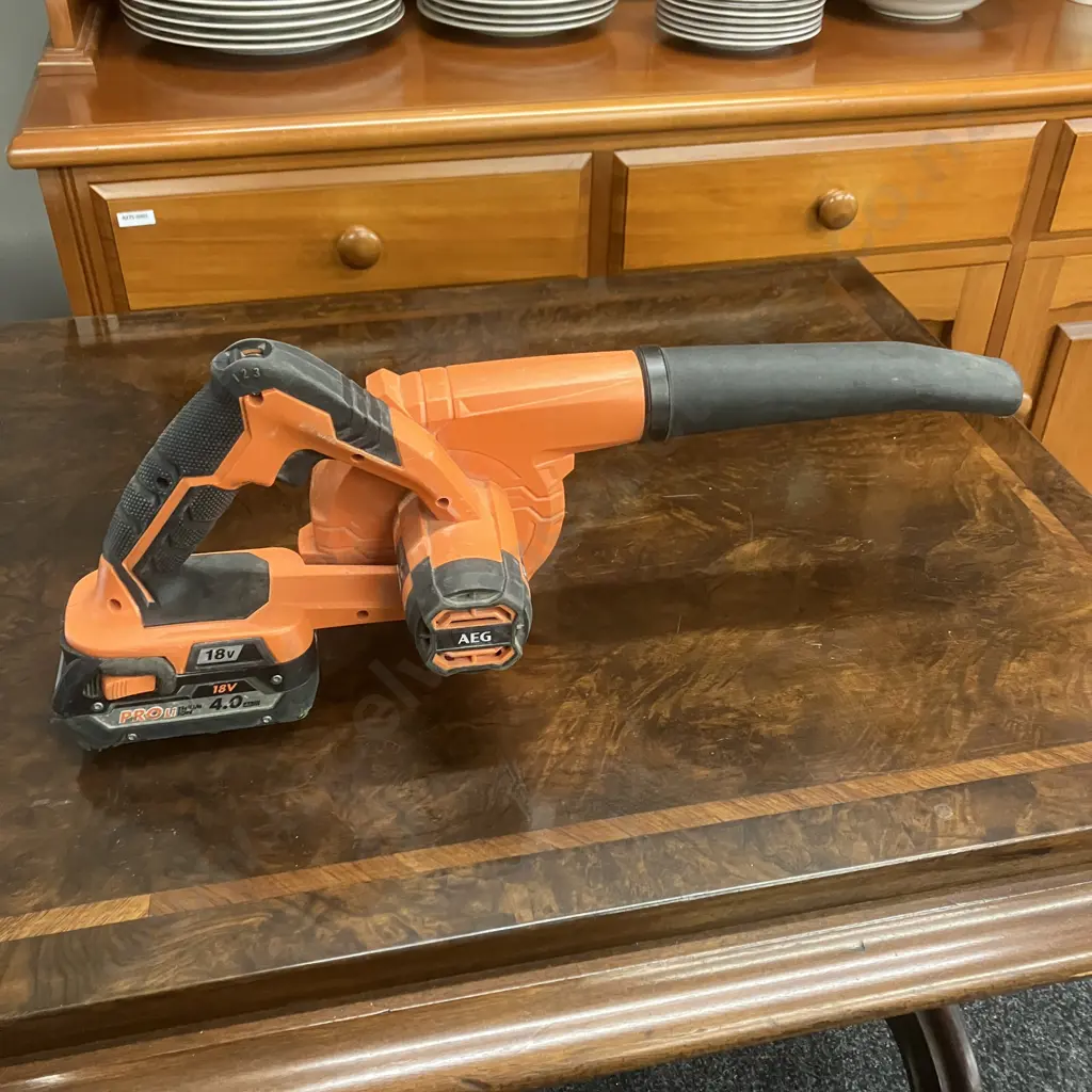 AEG GM18EX2 18V Cordless Blower With 4.0Ah Battery (No Charger) Image 1++