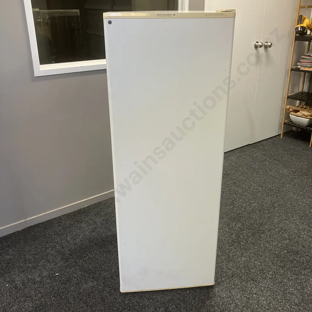 Kelvinator 250 Litre Fridge Model P250C-R Image 1++
