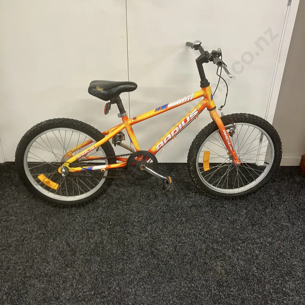 Trail Riser Childs Bike Image 1++