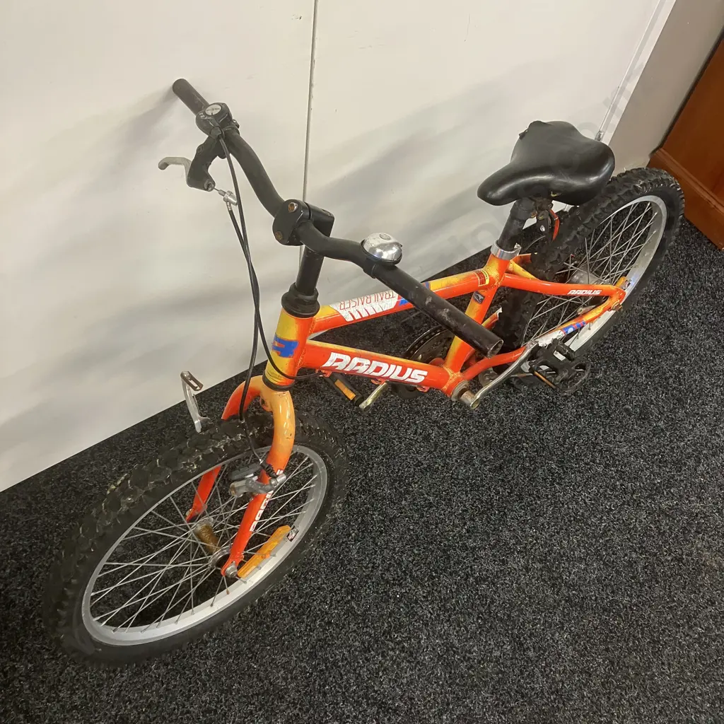 Trail Riser Childs Bike Image 1++
