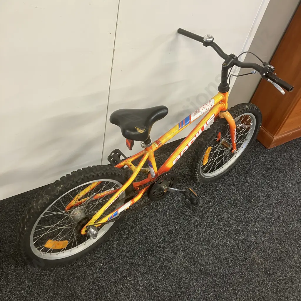 Trail Riser Childs Bike Image 1++