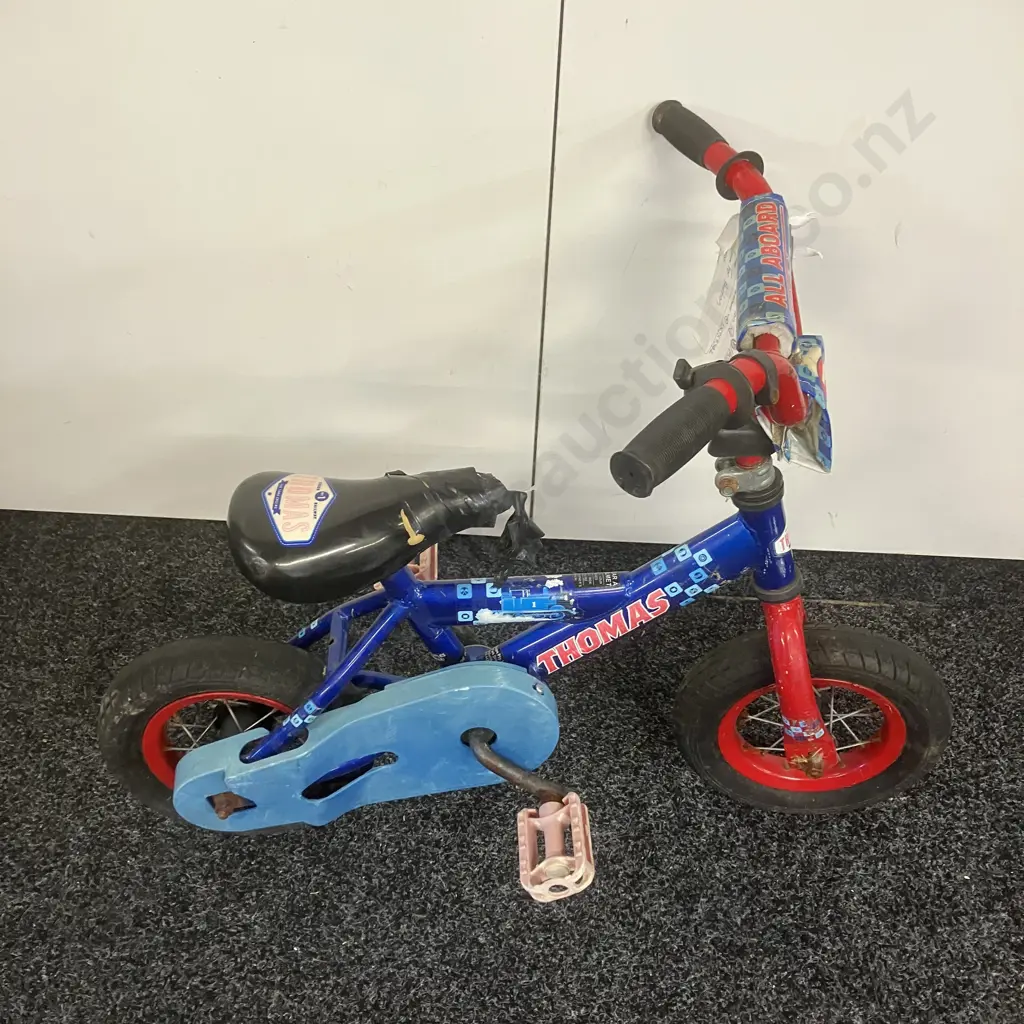 Blue Thomas Childs Bike Image 1++