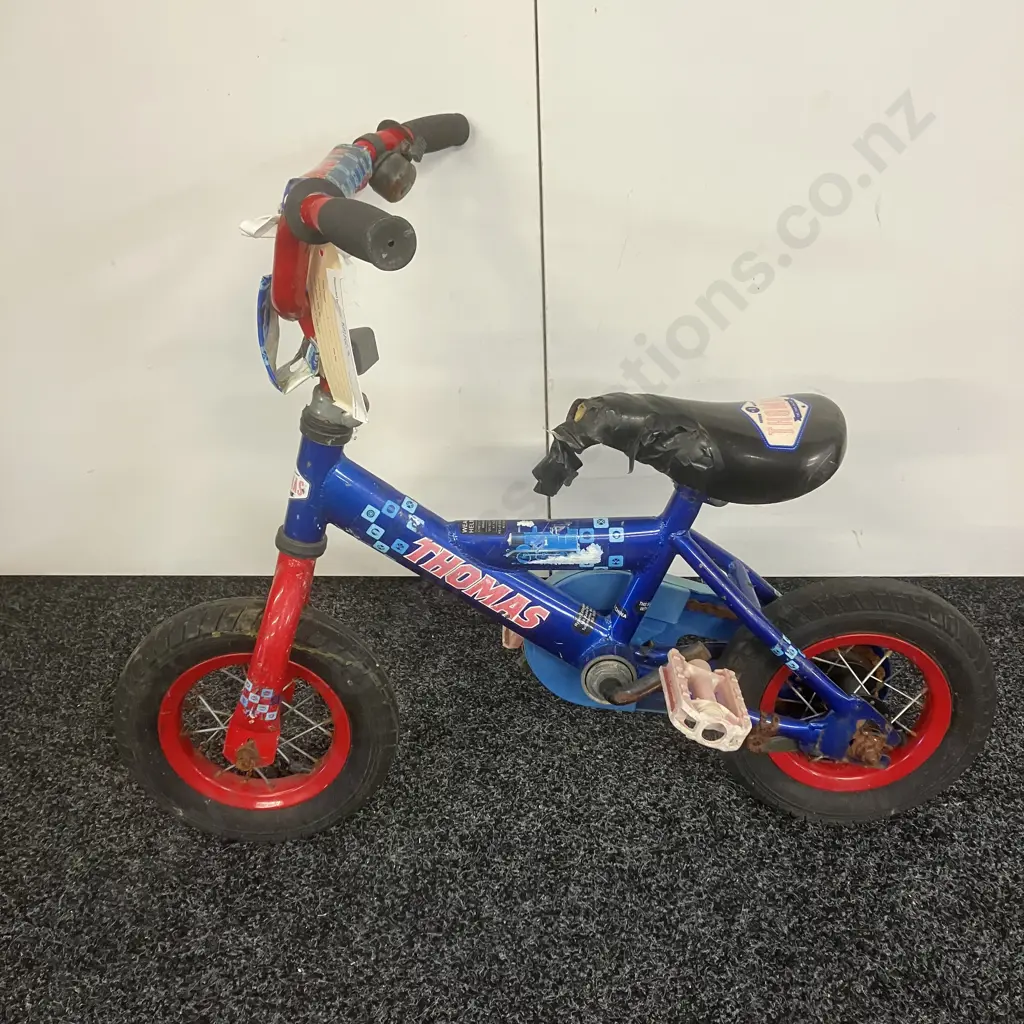 Blue Thomas Childs Bike Image 1++