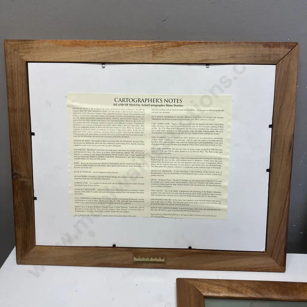 Set of 3 Framed Blaise Domino Picture Maps - Oahu, Maui, The Sandwich Isles. Picture Map Co. 34 x 42cm Image 1++