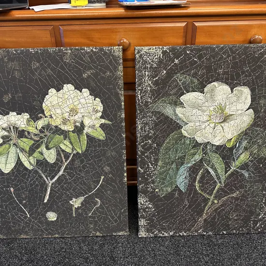 Pair of Pictures On Canvas Magnolia Flowers. 81 x 60cm