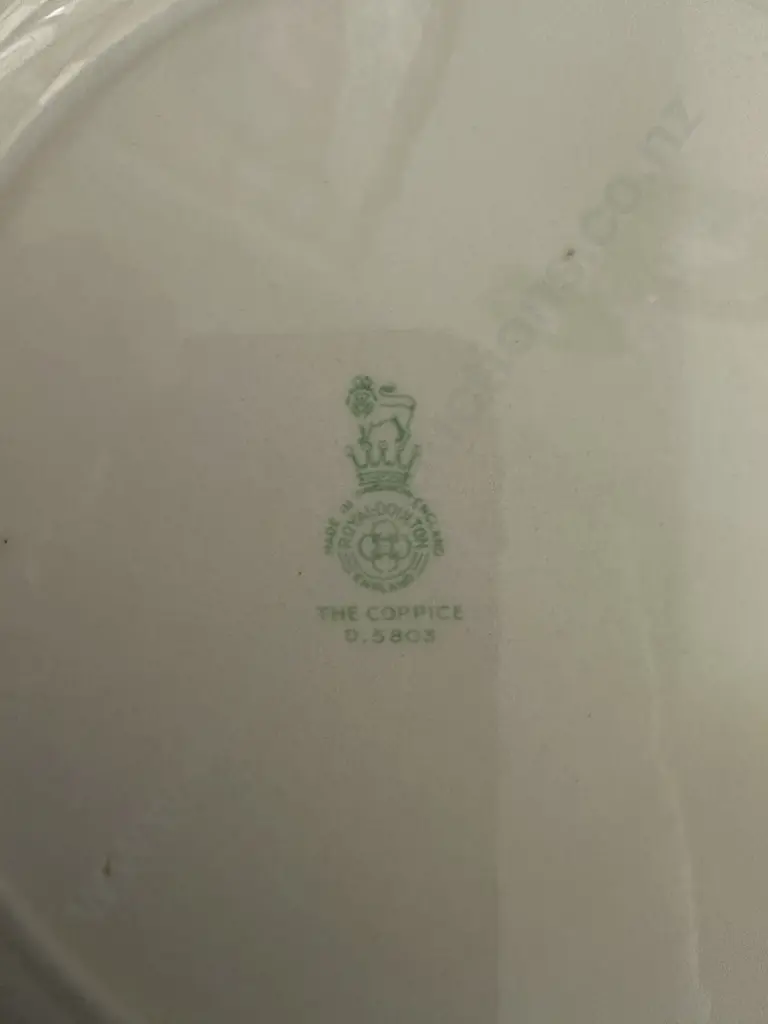 Vintage Royal Doulton 'The Coppice' Large Plates x10 #D5803  Image 1++