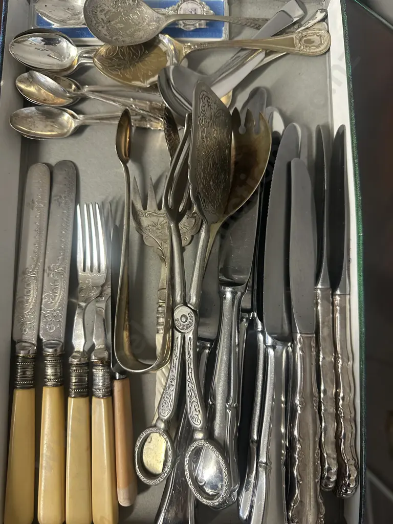 Assorted Silverware Items Including Bone Handled Knives, Teaspoons Etc Image 1++