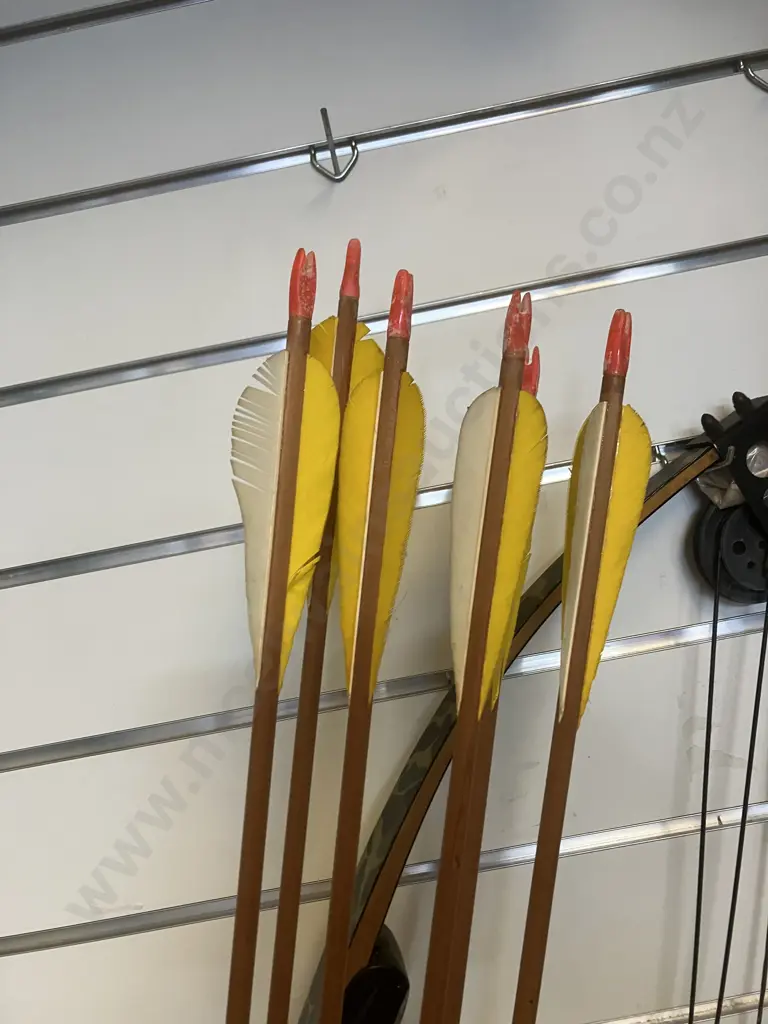 Proline Cyclone II Model 10-250 Compound Bow, Kwikee Kwiver, 6 x Arrows, Murrays Guide To Archery #11, Accessories Image 1++