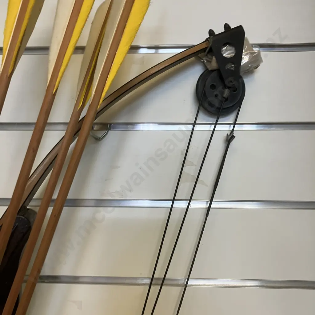 Proline Cyclone II Model 10-250 Compound Bow, Kwikee Kwiver, 6 x Arrows, Murrays Guide To Archery #11, Accessories Image 1++