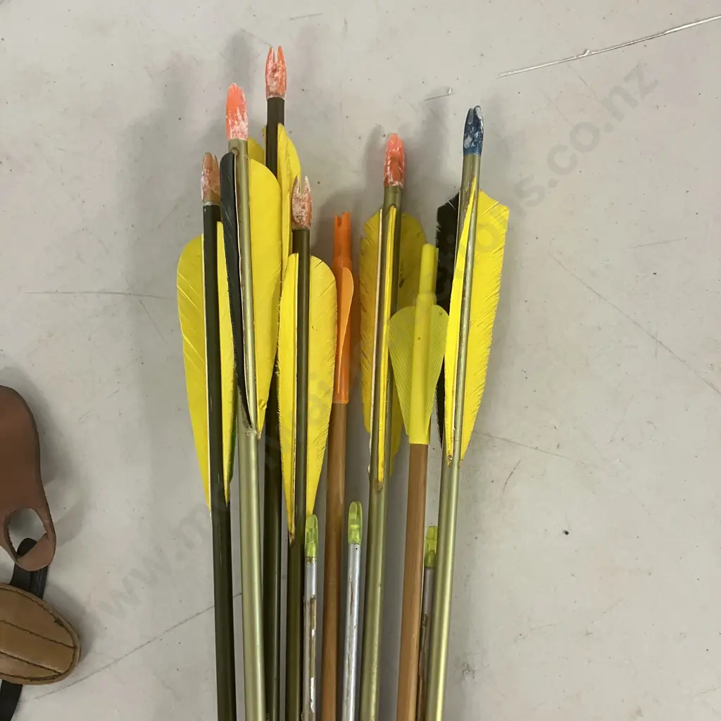 Arrows, Quiver, Finger Guards Image 1++