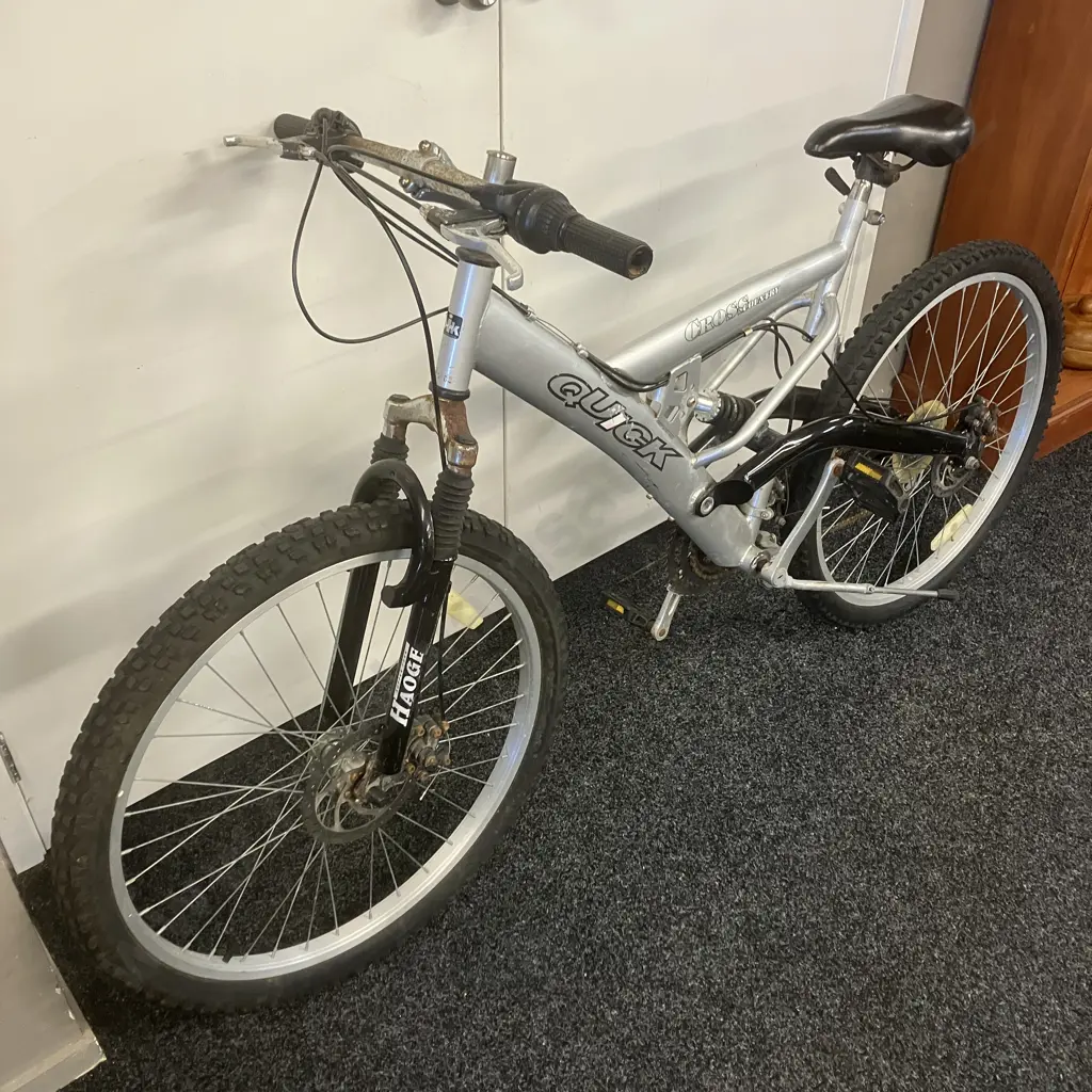 Silver Colour Quick Cross Country Bike Image 1++