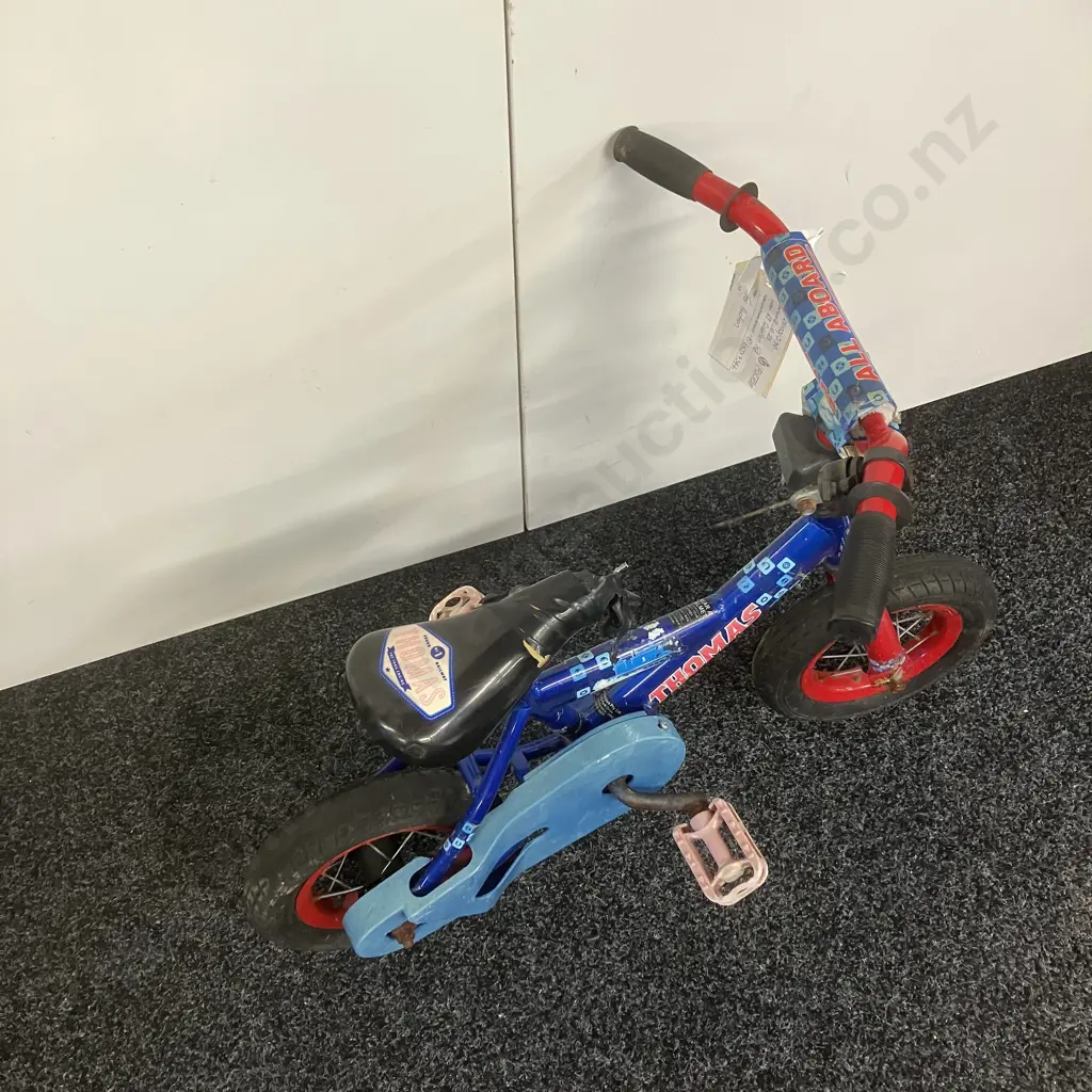 Blue Thomas Childs Bike Image 1++