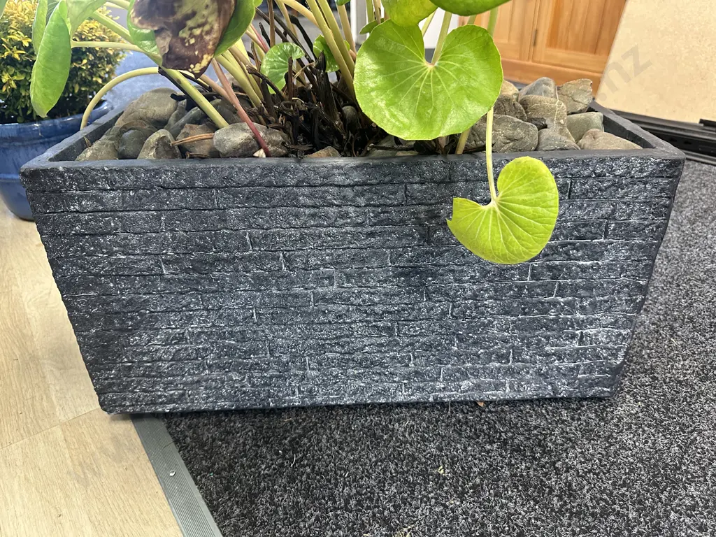 Black Rectangular Textured Planter Pot With Tractor Seat Plants H31,W60,D30cm. Image 1++