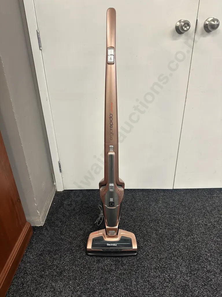 Electrolux Ergorapido Lithium Vacum  Image 1++