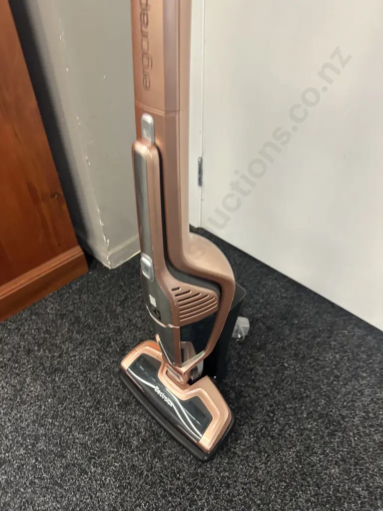 Electrolux Ergorapido Lithium Vacum  Image 1++