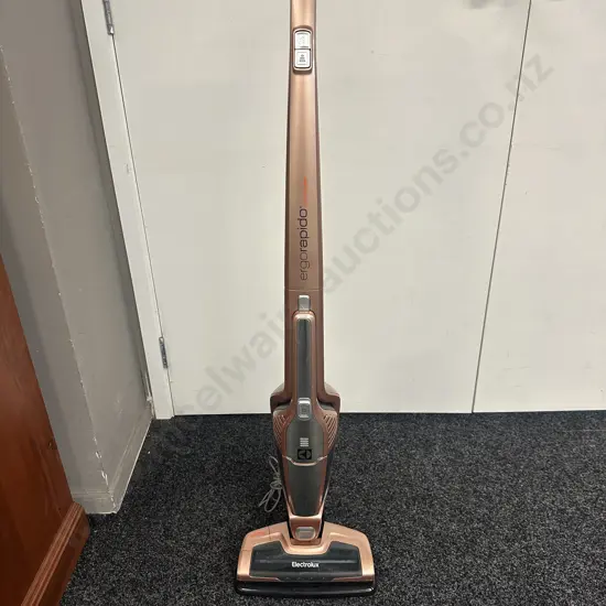 Electrolux Ergorapido Lithium Vacum 