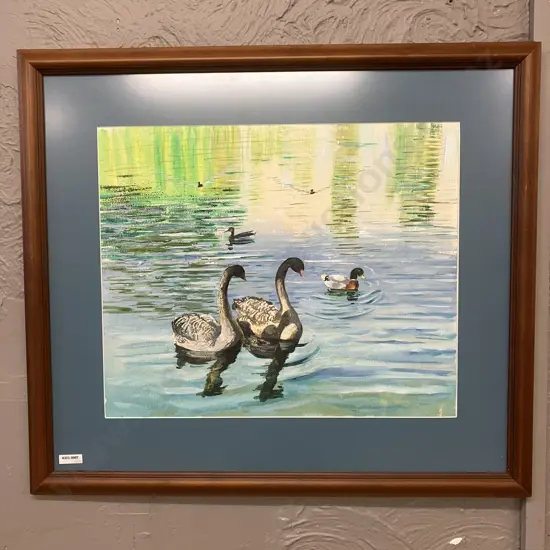 "Swans" Watercolour by Frank Eustace, Hawera, Framed 57 x 65cm (2011 /2012?)
