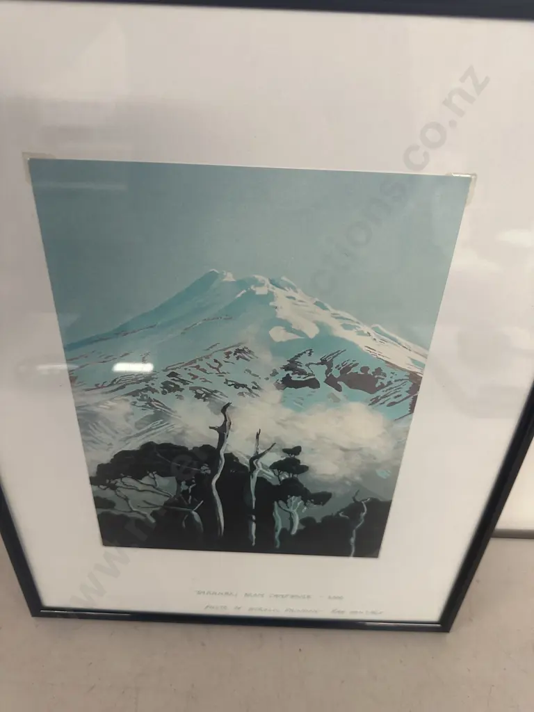Framed Photo Of Acrylic Painting - Rae Vanthof Taranaki From Camphouse 2000. 37 x 29cm Image 1++