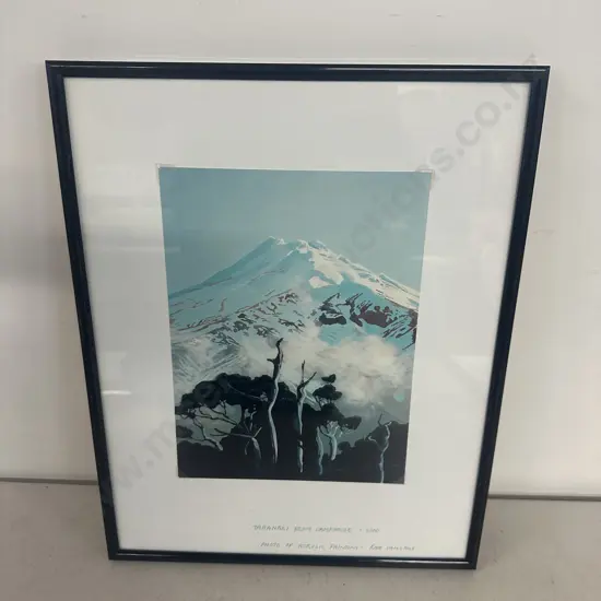 Framed Photo Of Acrylic Painting - Rae Vanthof Taranaki From Camphouse 2000. 37 x 29cm