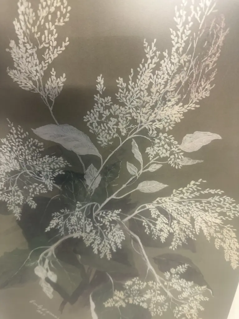 Framed Print 'Rangiora' By Emily Cumming Harris #1798 Serial 13 1968. 57 x 42.5cm. Image 1++