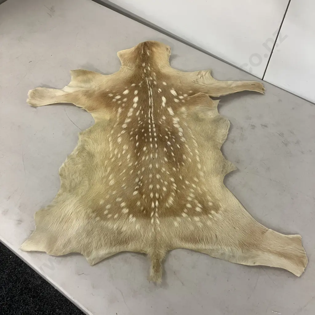Small Spotted Deer Skin & Retro NZ Tea Towel Image 1++