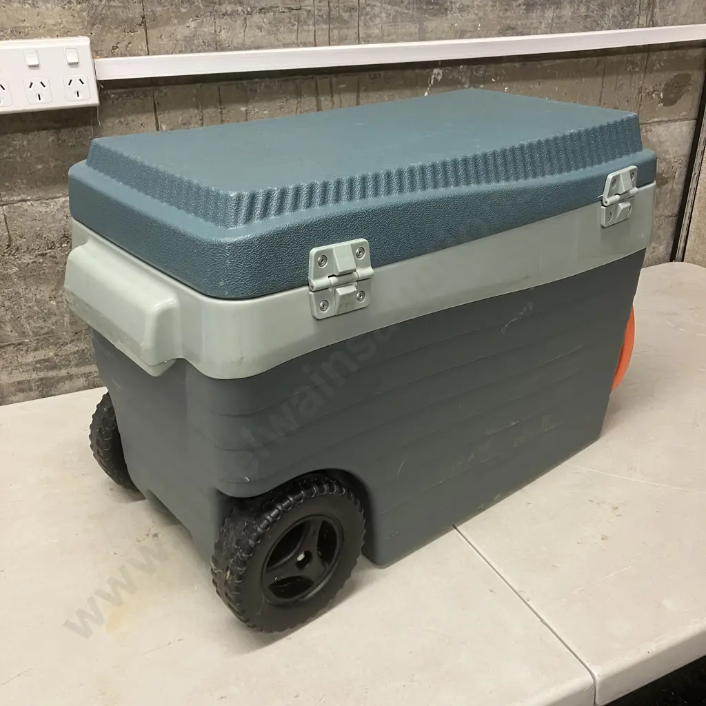 Living & Co 46 Litre Chilly Bin Image 1++
