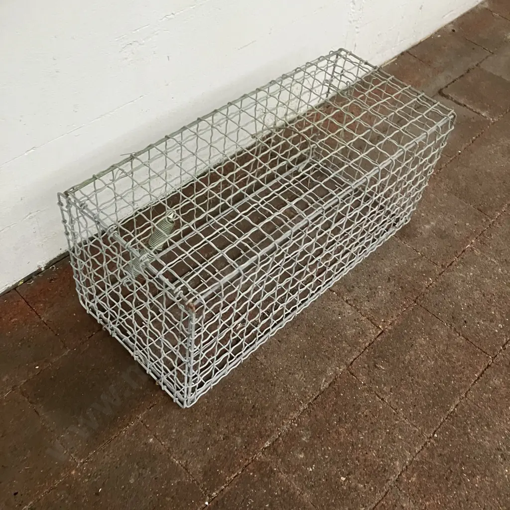 Wire Mesh Live Capture Cage Trap. H31 W69 D31cm (As Found) Image 1++