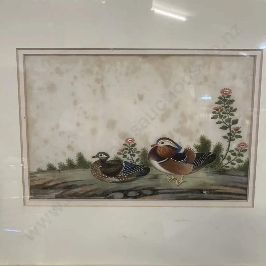 Set of Four Canton Paintings On Pith Paper - Pairs of Birds & Fauna China, Mid 19th Century? 33 x 41cm (As Found) Image 1++