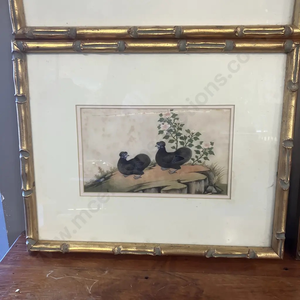 Set of Four Canton Paintings On Pith Paper - Pairs of Birds & Fauna China, Mid 19th Century? 33 x 41cm (As Found) Image 1++