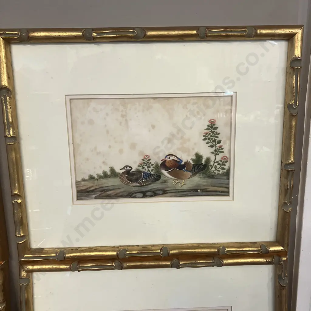 Set of Four Canton Paintings On Pith Paper - Pairs of Birds & Fauna China, Mid 19th Century? 33 x 41cm (As Found) Image 1++