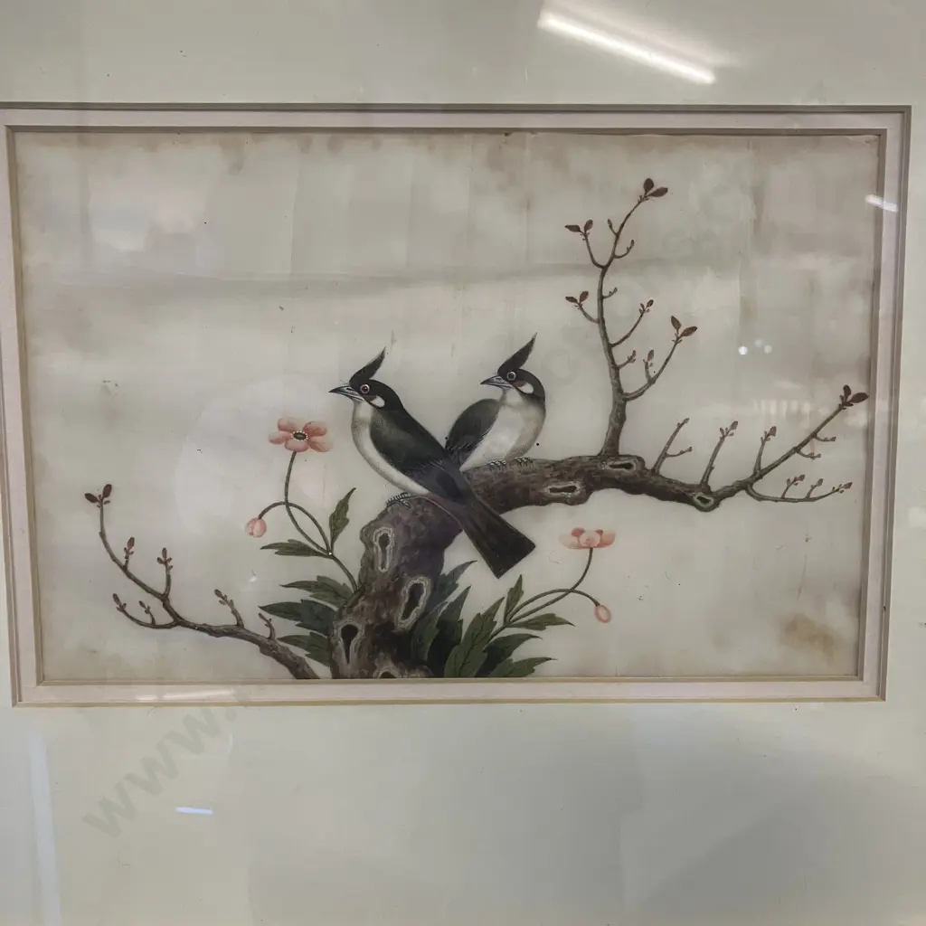 Set of Four Canton Paintings On Pith Paper - Pairs of Birds & Fauna China, Mid 19th Century? 33 x 41cm (As Found) Image 1++