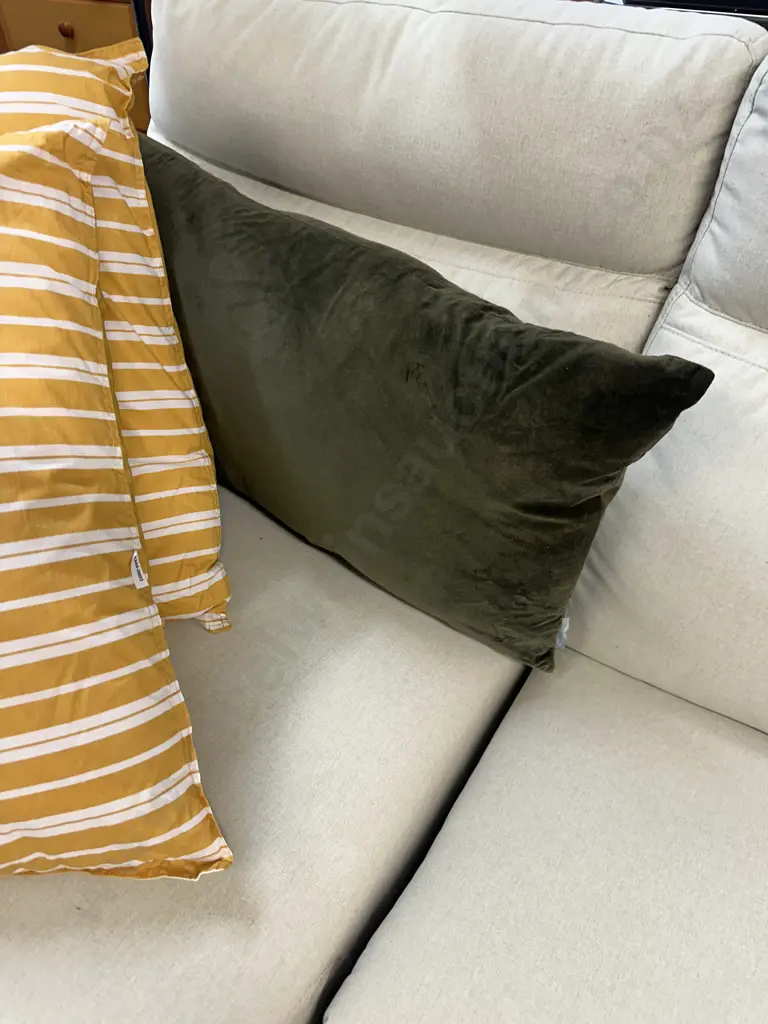 Design Republique Green Verity Lumber Cushion, Gracious Living Gold & White Euro Pillows & Gold Coloured Throw Image 1++