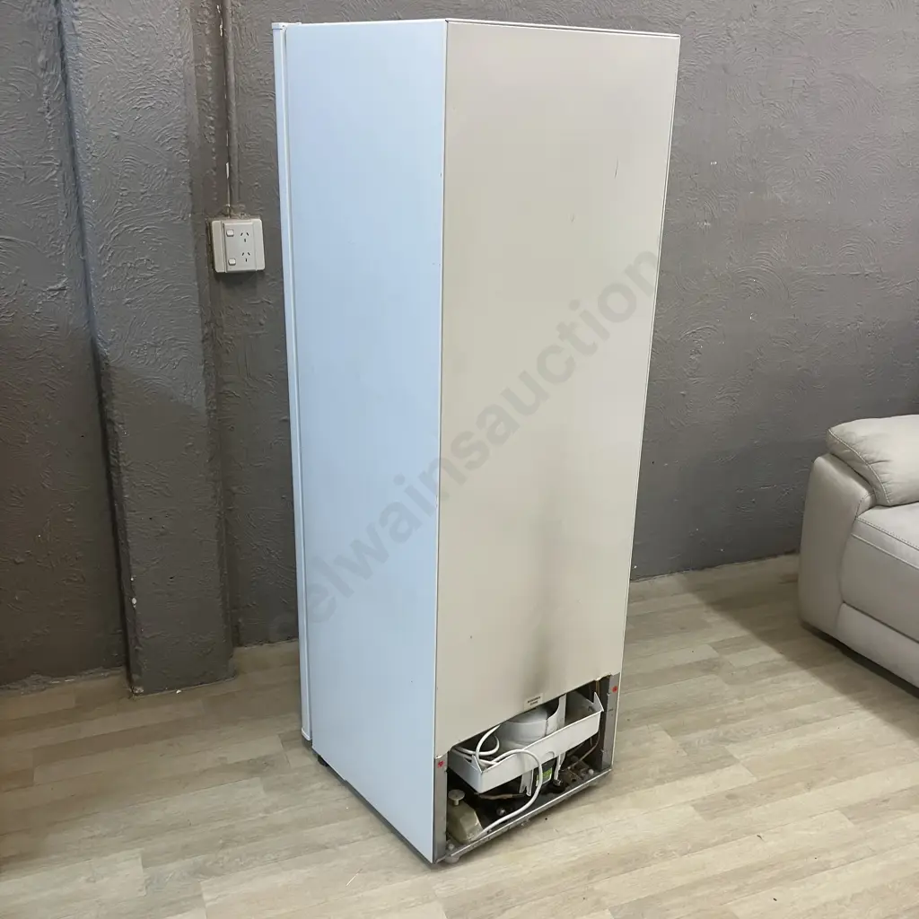 Fisher & Paykel N210 213L Vertical Freezer, #MLF303724R Image 1++