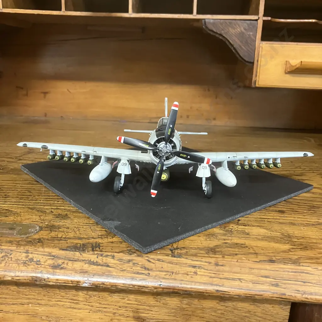 1:48 USN Douglas A-1H Skyraider Piloted by Lt.(jg) Tom Patton US Navy Squadron VA-176 USS Intrepid Image 1++