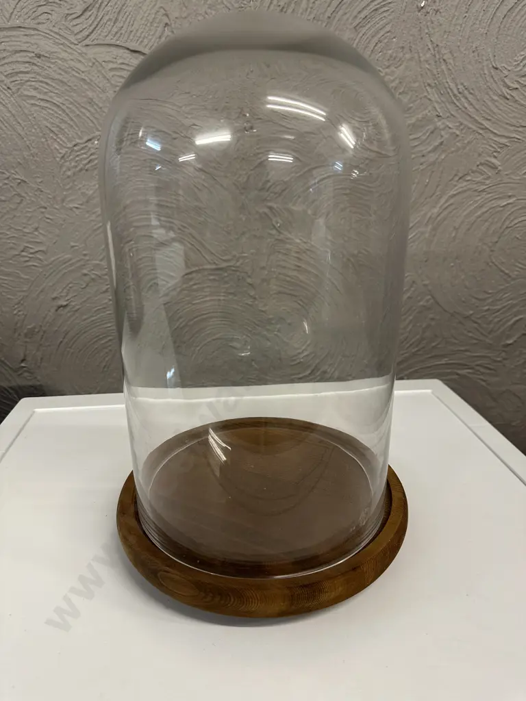 Oak Footed Glass Dome Display Case H40cm. Image 1++