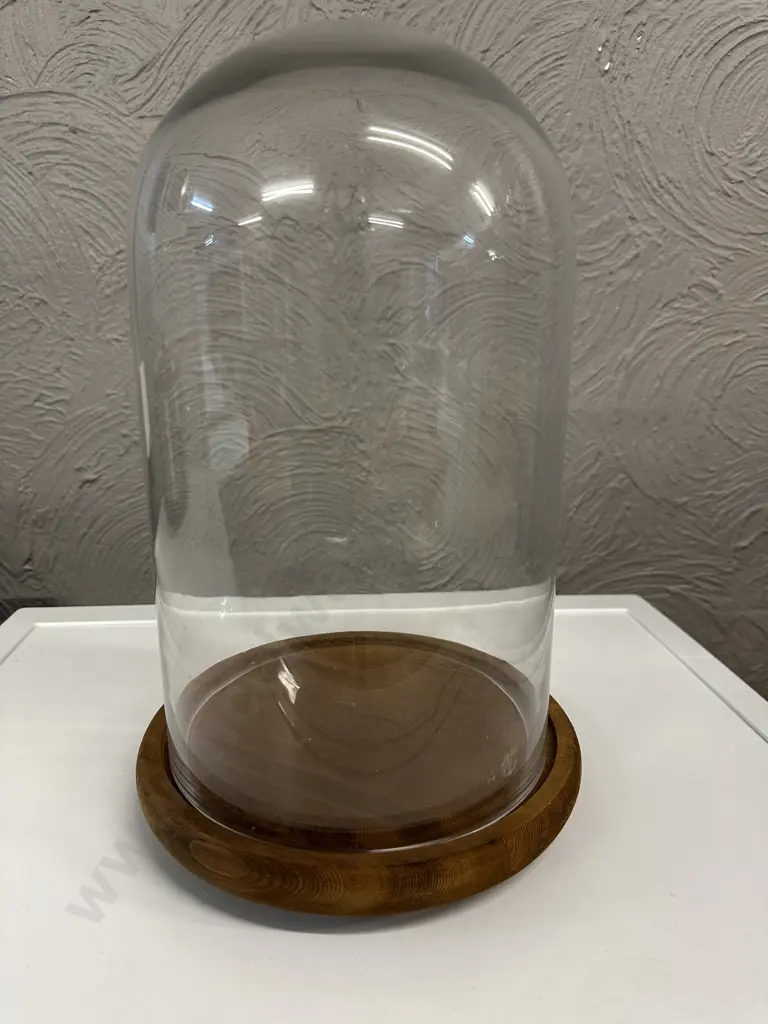 Oak Footed Glass Dome Display Case H40cm. Image 1++
