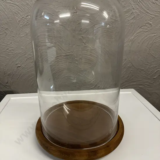 Oak Footed Glass Dome Display Case H40cm.