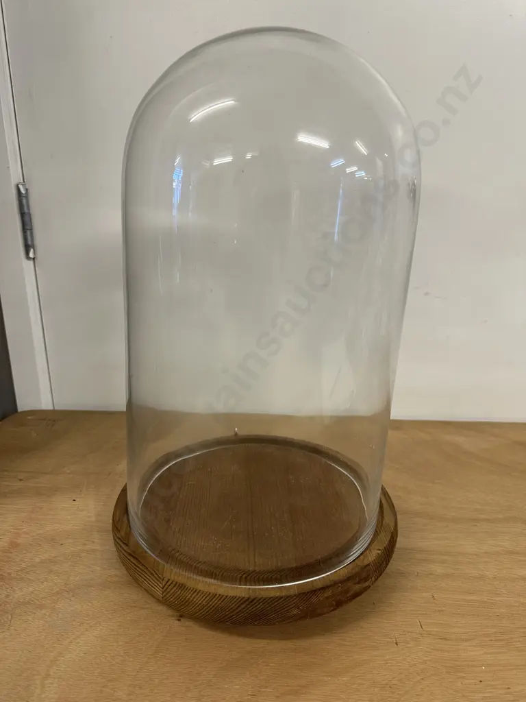 Oak Footed Glass Dome Display Case H40cm. Image 1++