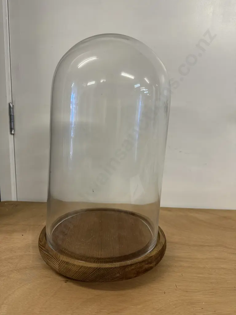 Oak Footed Glass Dome Display Case H40cm. Image 1++