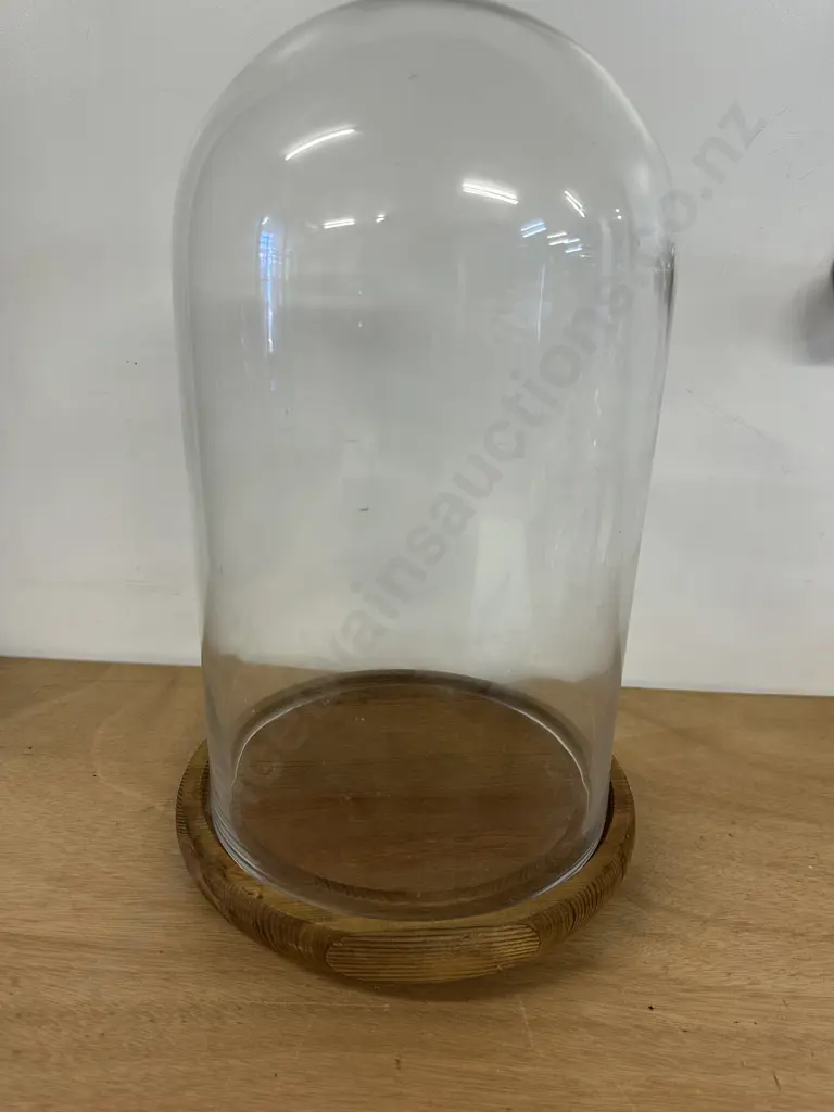 Oak Footed Glass Dome Display Case H40cm. Image 1++