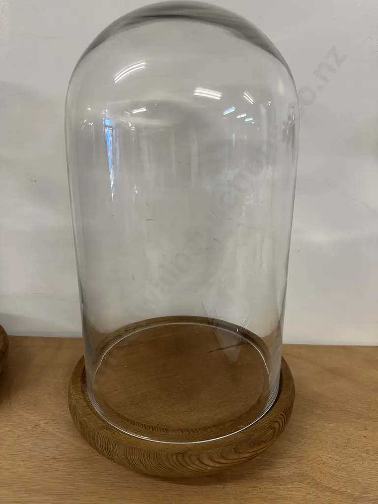 Oak Footed Glass Dome Display Case H40cm. Image 1++