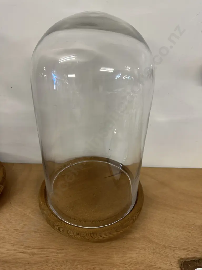 Oak Footed Glass Dome Display Case H40cm. Image 1++