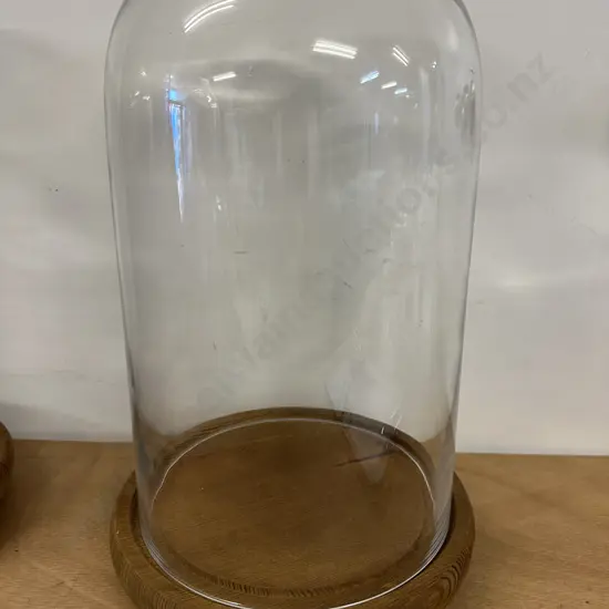 Oak Footed Glass Dome Display Case H40cm.