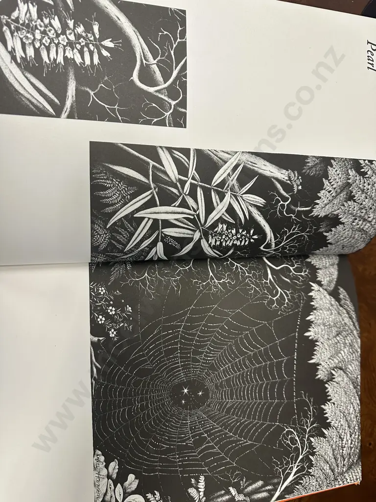Rei Hamon Artist Of The New Zealand Bush His Life And His Drawings  Image 1++